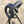 Close up of large campfire cooking tripod.
